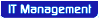 IT Management