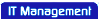 IT Management